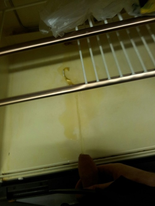 devonfag:  Pissing in the fridge  May i clean that up for you Master??