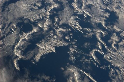 Cloudy frondsResembling a forest seen from above, these roiling clouds over the ocean were snapped f
