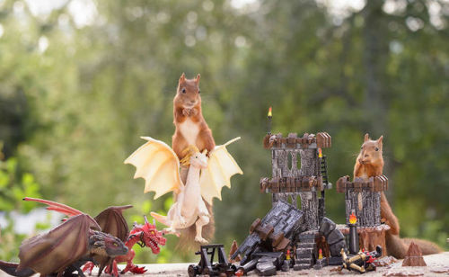 archiemcphee: Squirrels + Games of Thrones = Squirrel Game of Thrones, an awesome wildlife photo project created by Dutch photographer Geert Weggen.  “Game of Thrones” is such an inspiring and wonderful series. I had to create photos of squirrels