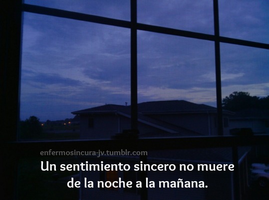 enfermosincura-jv:  -Realidad. 
