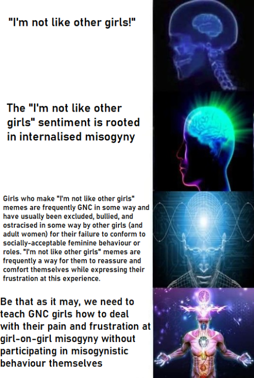 baixueagain: Those corrective versions of “I’m not like other girls” memes ha