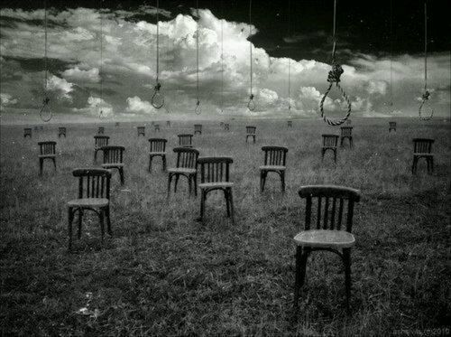 mapoleimelik:  Beautiful death.
