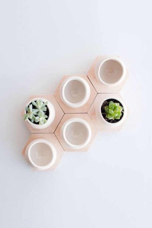 oucu:hex spora