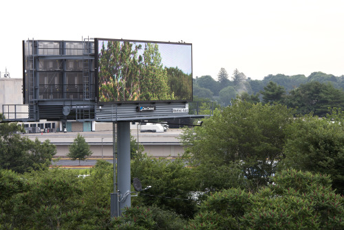 From June 28 – July 26, two digital billboards in Massachusetts weren’t trying to sell you anything,