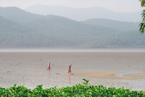 Vietnam, 2017