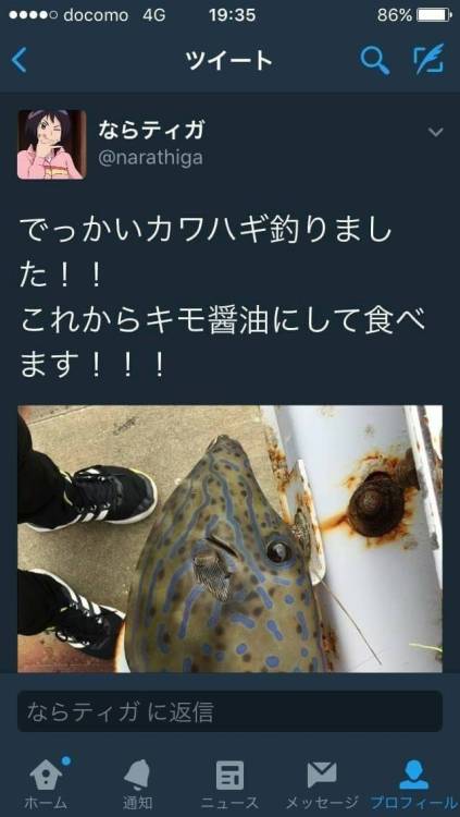 gkojax:  わっくん🐤さんのツイート: わずが29文字で人の命が助かる世界  それがTwitter https://t.co/aLBMBeXFip