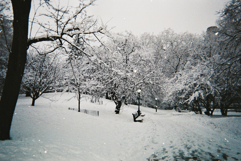 Winter Blog