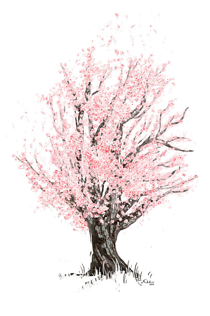 wolf-teeth:  Commission - Cherry Tree (by nikkiritmeijer) 