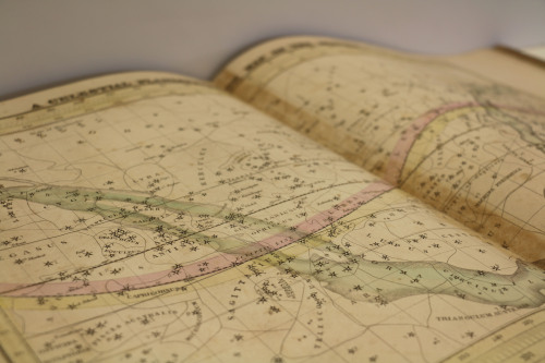 uispeccoll: Astronomy buffs rejoice! This beautiful celestial atlas is a supplementary text to 