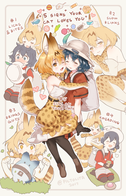 (키사 kissai @AX K39さんのツイート: &ldquo;5 signs your cat loves you #けものフレンズ https://t.co/VUq3G9bzyR&rdquo;