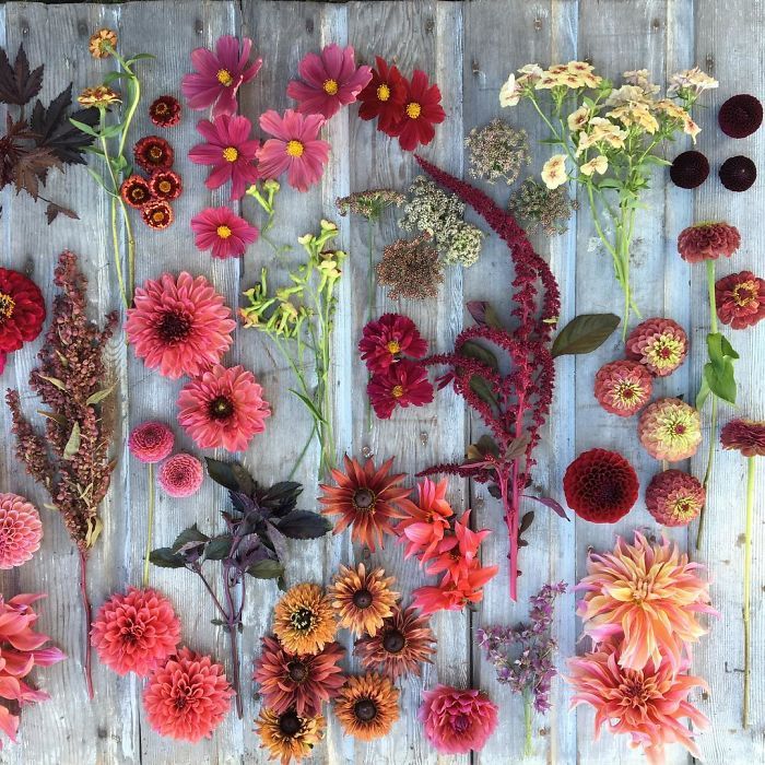 i-want-spankings: culturenlifestyle:  A Peek Inside the Life of a Florist Florist