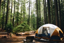 ruggedmenswear:  chasingdownthedevildevil:  Camping and hiking at the Ohanapecosh Campground, Mt Rainier, WA 8/29-30 Instagram: hananahannah  Just got back from camping myself! 