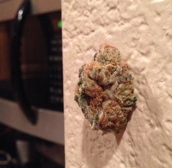 bluntrollerandsmoker:  That’s how sticky this kush is