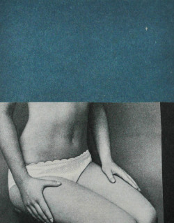 Katrien de Blauwer more