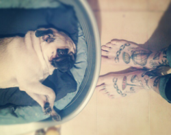 Canta & No Llores