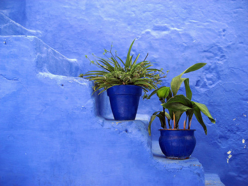 Morocco - Pensando in blu! by danieleb80 on Flickr.