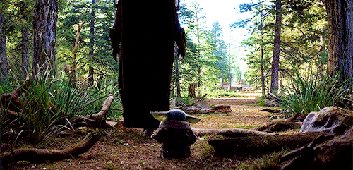 Late November 2019 I Started Watching: The Mandalorian