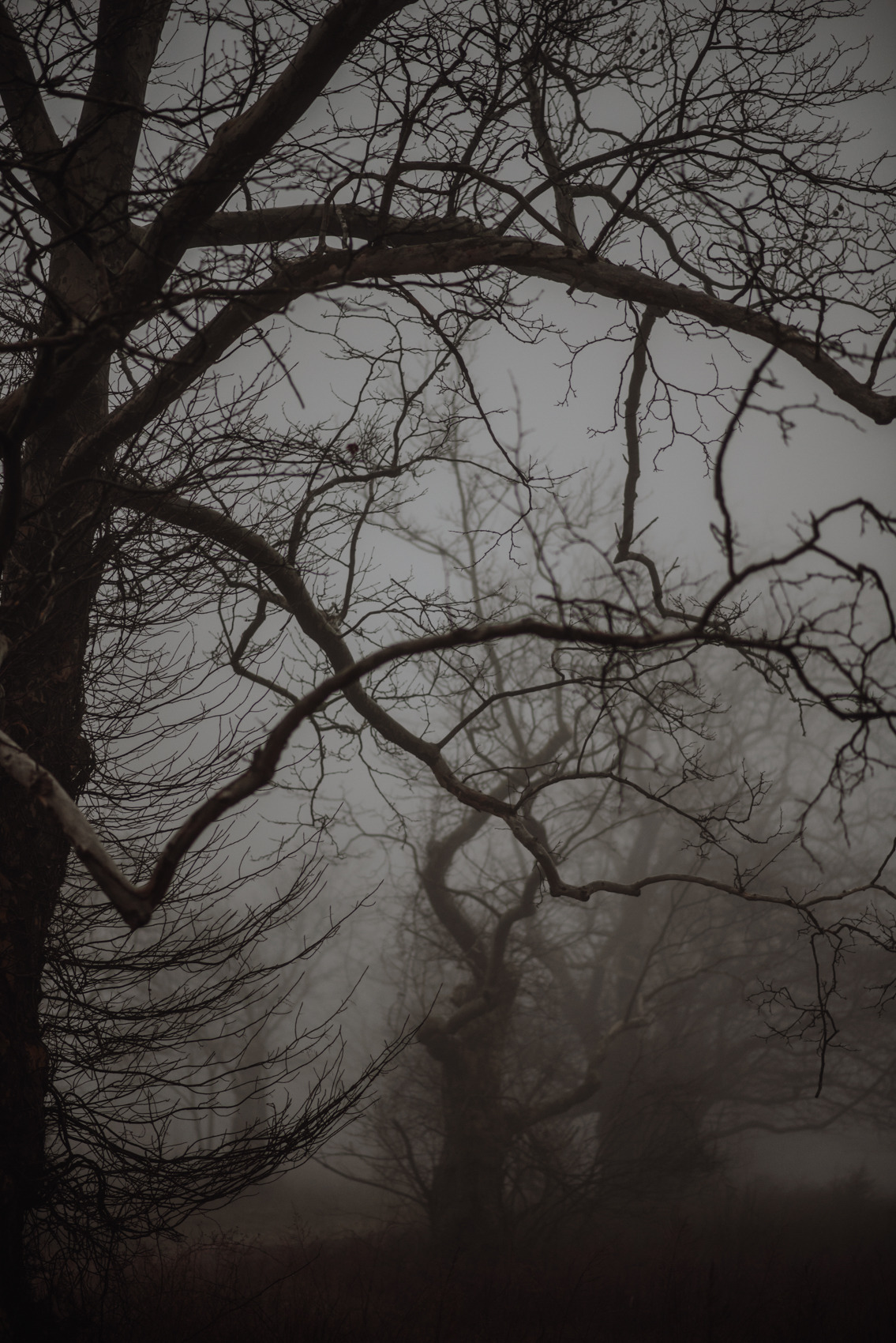requiem-on-water:  Grey Day by  Sarah Smith