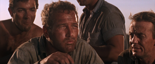 “Nah, calling it your job don’t make it right, Boss.”Cool Hand Luke, 1967Directed by Stuart Ro