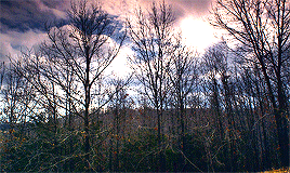 tumblr_p3prw46hRx1u5i578o7_r1_400.gif