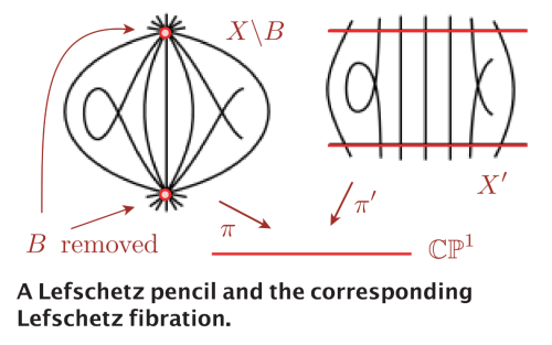 _What is a Lefschetz pencil?_ by Robert Gompf
