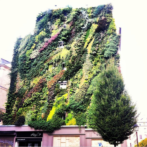 untappedcities:  #untappedcities Instagram “Pics” of the Week: Awe Inspiring Facades in NYC, Paris, Chicago http://bit.ly/17rvxgy 