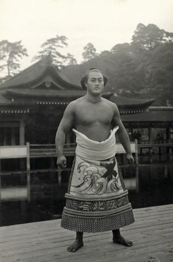 Thekimonogallery:  Sumo Wrestler, Ca. 1910, Japan 