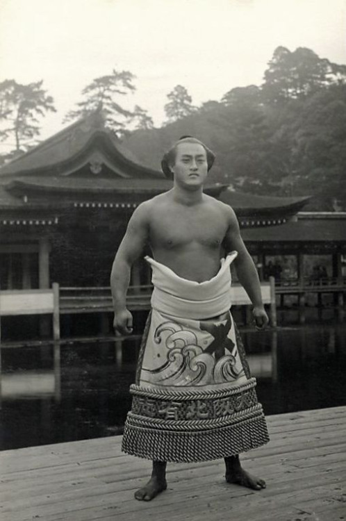 Sex thekimonogallery:  Sumo wrestler, ca. 1910, pictures