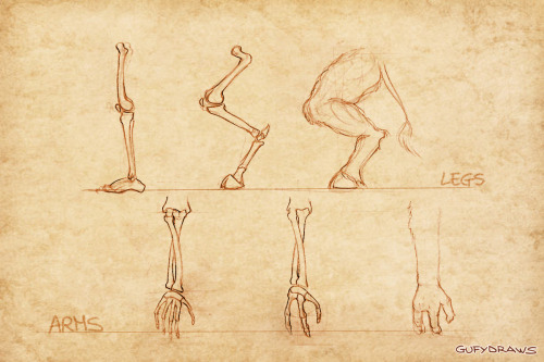 garrison-of-misfits:Part 2 of my project on the hypothetical anatomy of World of Warcraft’s Horde ra