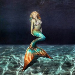 mermaidtumble:  so pretty isn’t it?? #mertailor