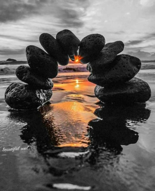 Authentic Reflections