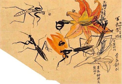 Qi Baishi, 1864-1957, Sketch of Amantis.