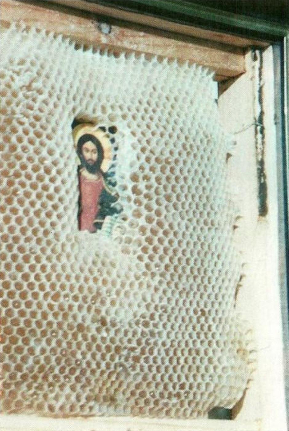 kevindrakewriter:  nivrir: by-grace-of-god:  The mystery of icon-preserving bees