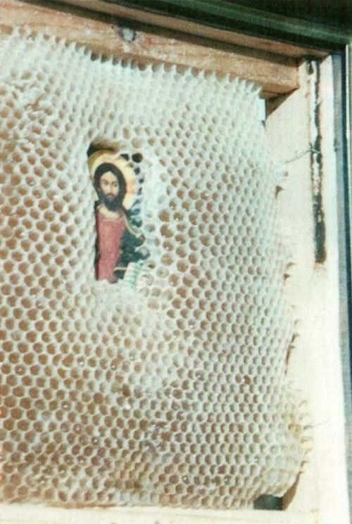 nivrir:by-grace-of-god:The mystery of icon-preserving bees For a decade, a beekeeper near Athens