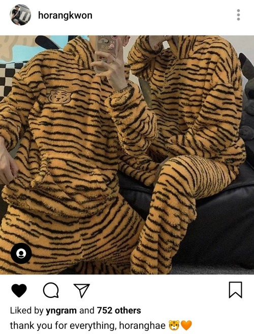 Stupid Tiger Obsession, Kwon Soonyoung.
