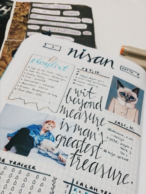 “Wit beyond measure is man’s greatest treasure.” I am a hufflepuff myself but you 