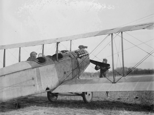 Feline mascot named “Spark Plug.” World War I