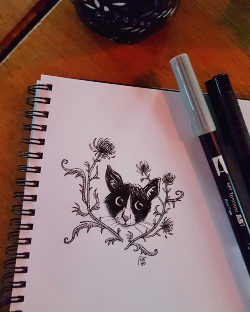 Inktober, day 1 - Cat &amp; Alpine Thistle This year, I&rsquo;m following Lana Jay&rsquo;s Familiar