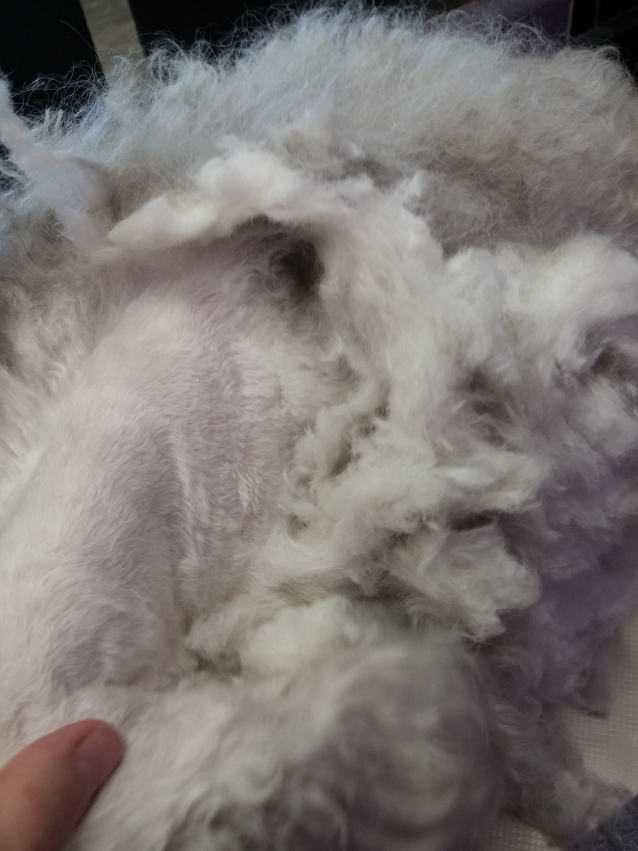 mooseings:  fortheloveoffurrythings:  *Sigh* Alright, pet owners. We need to have