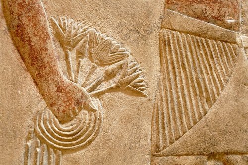 aradeia:Lotus blossoms from the tomb of Kagemni in Saqqara. 6th dynasty. Photo taken by He