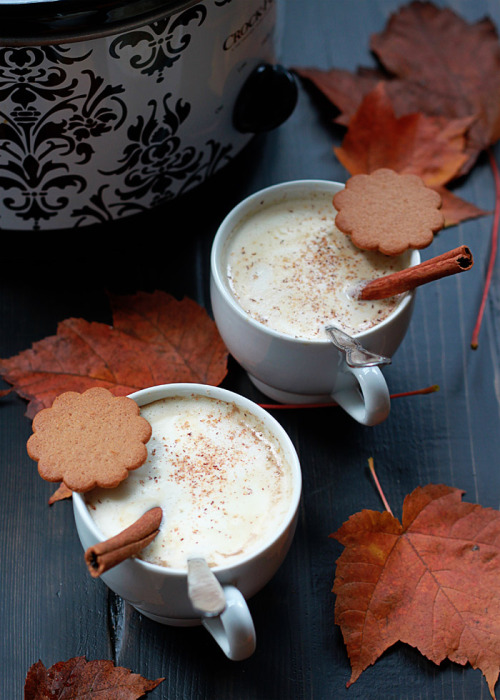 delectabledelight:   Slow Cooker Gingerbread Pumpkin Lattes 