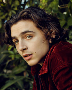 klennnik:  Timothee Chalamet by Ryan Pfluger