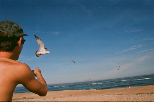 SeagullPointin&rsquo; // Me A shot dcal took in the beachRoll  35mm