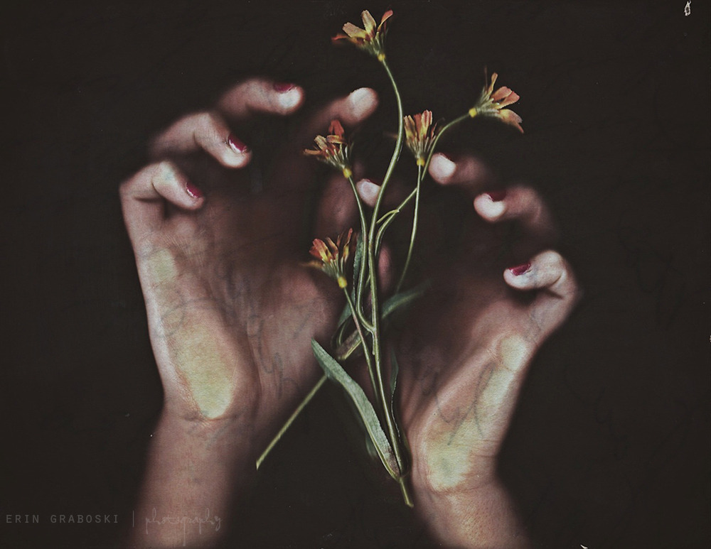 darkesttrip:  Source:eringraboski