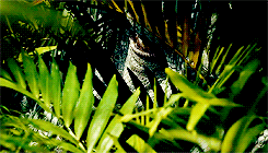 dianprnce-blog: Think it will scare the kids?