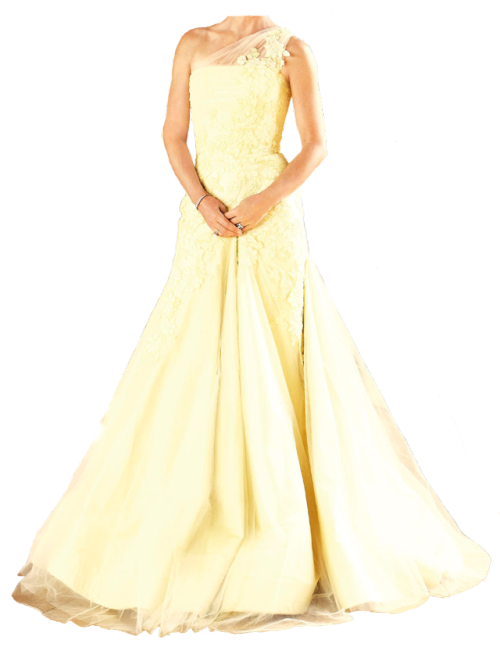 Alex Perry Custom Yellow Gown