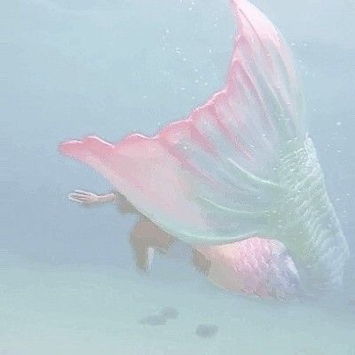 Sorry I Feel It Needs More Mermaids So Heres All The Mermaids You Need