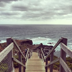 ⛅️🌏 (at Cape Schanck Lighthouse)