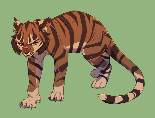 Tigerstar and Lionblaze from another warriors chat suggestion stream! 