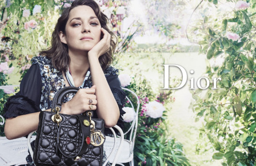 Marion Cotillard by Craig McDean for Lady Dior, Fall/Winter 2016-2017